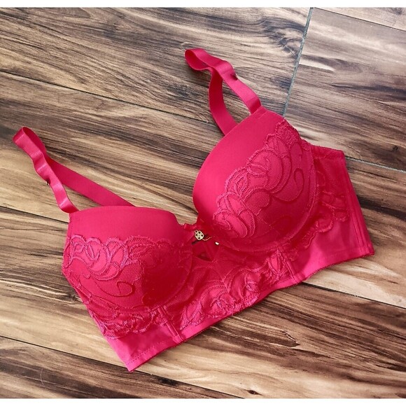 Daisy Fuentes Longline Push Up Bra Size 38C Red Lace Overlay Coquette New - Picture 1 of 7